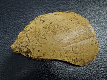 Mammutritzung auf Elfenbein Nachbild Fund aus den Klausenhöhlen
