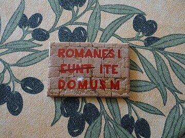 Magnet Romanes eunt domus